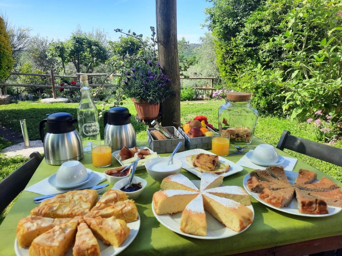 Le Colline Di Alojamento de Turismo Rural