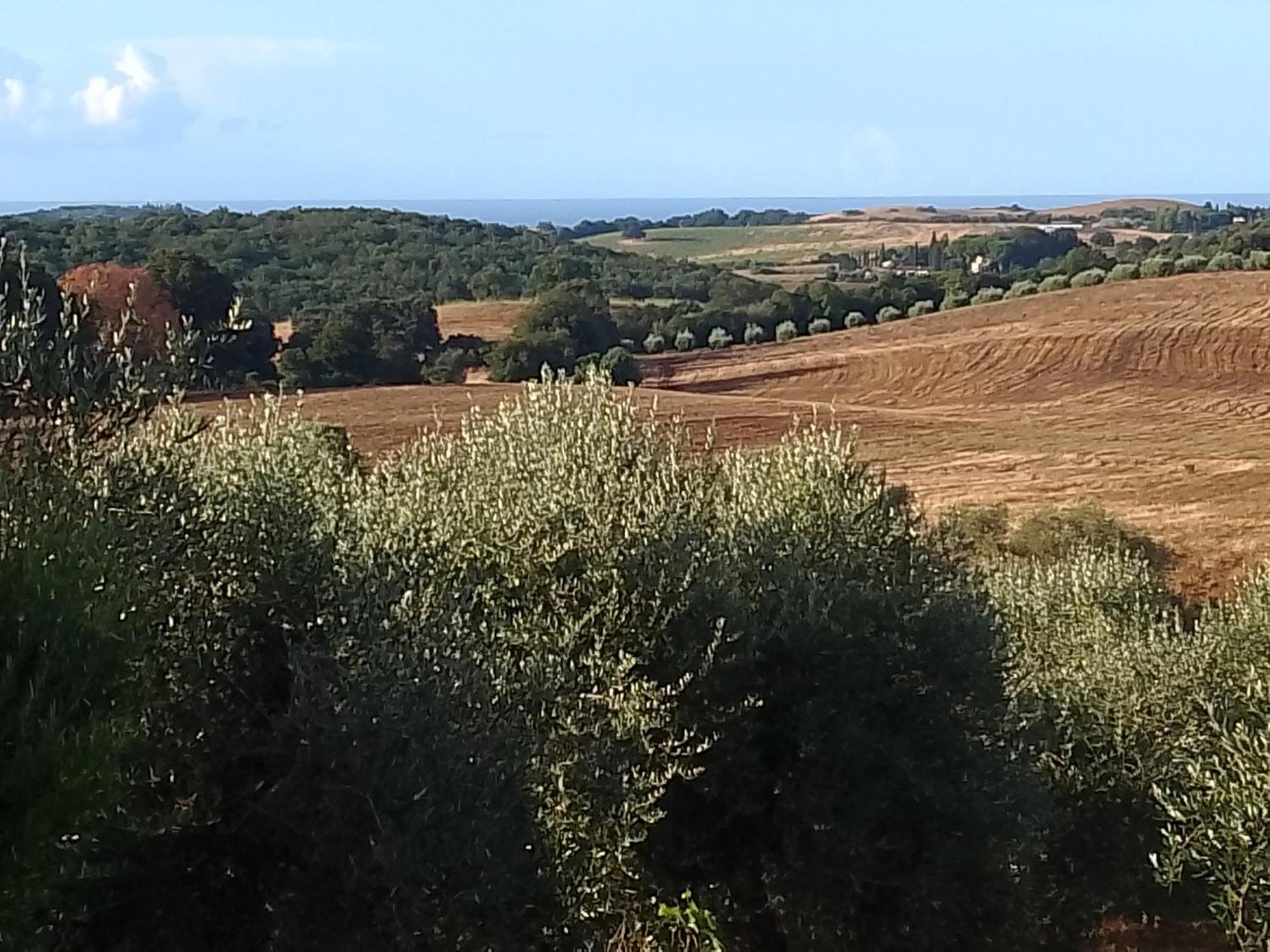 Alojamento de Turismo Rural Le Colline Di *