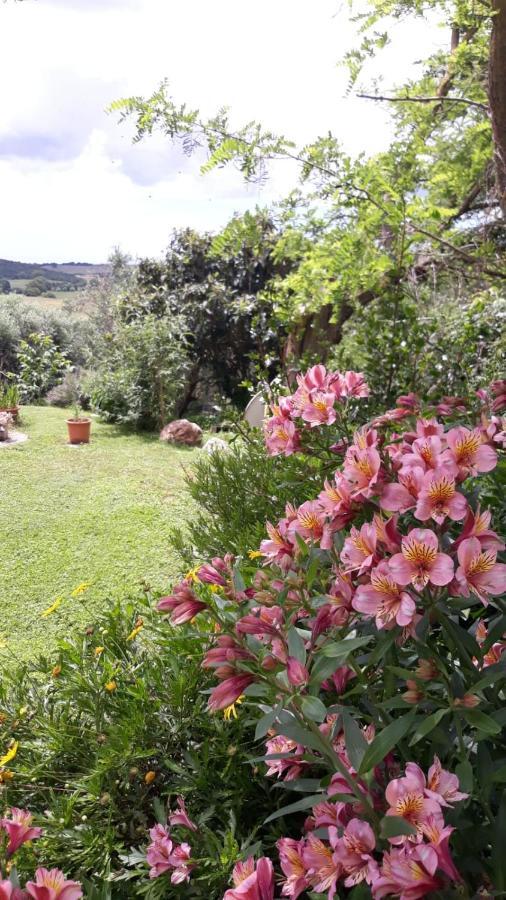 Le Colline Di Alojamento de Turismo Rural *