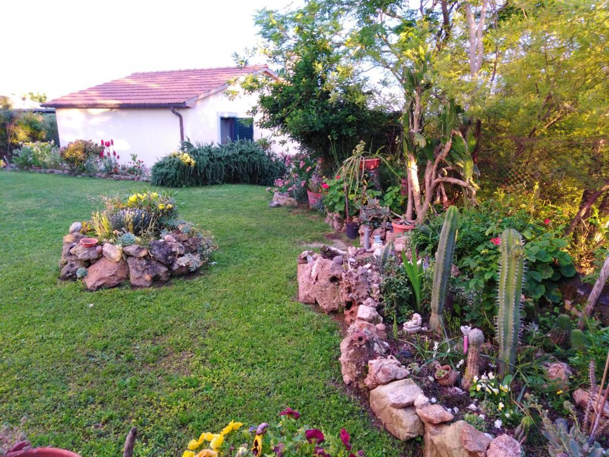 Le Colline Di
