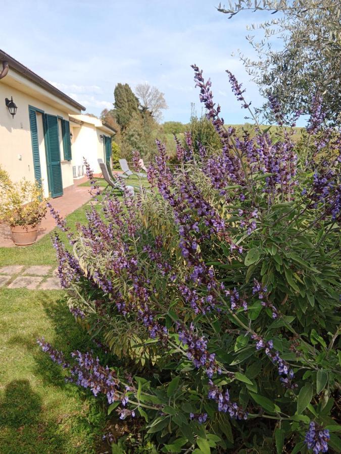 Farm stay Le Colline Di *