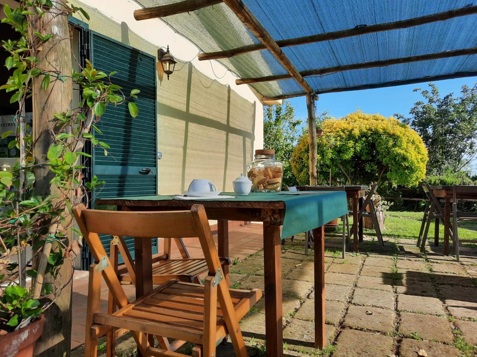 Le Colline Di Farm stay *