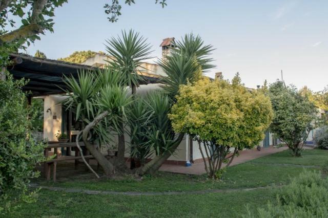 Farm stay Le Colline Di Capalbio