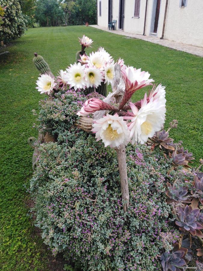 Farm stay Le Colline Di