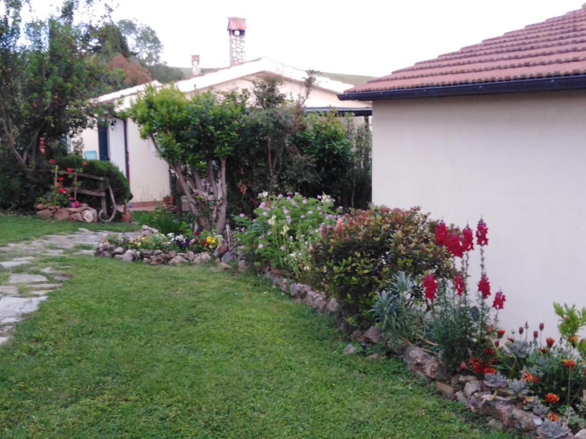 Farm stay Le Colline Di