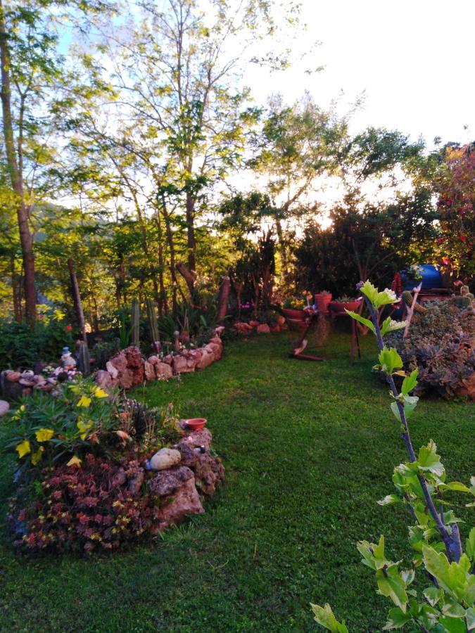 Farm stay Le Colline Di Capalbio